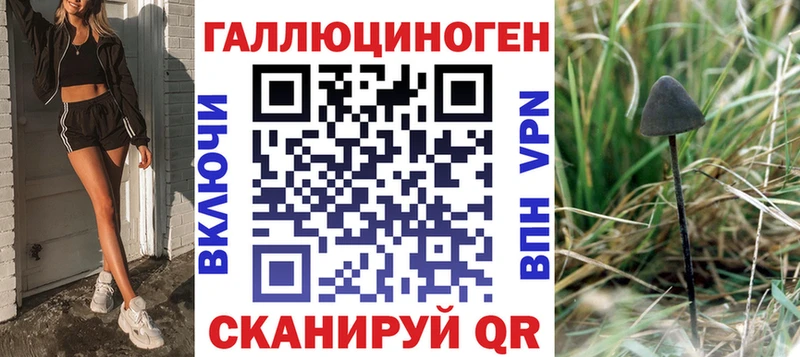 купить   Ачхой-Мартан  omg   Галлюциногенные грибы GOLDEN TEACHER 